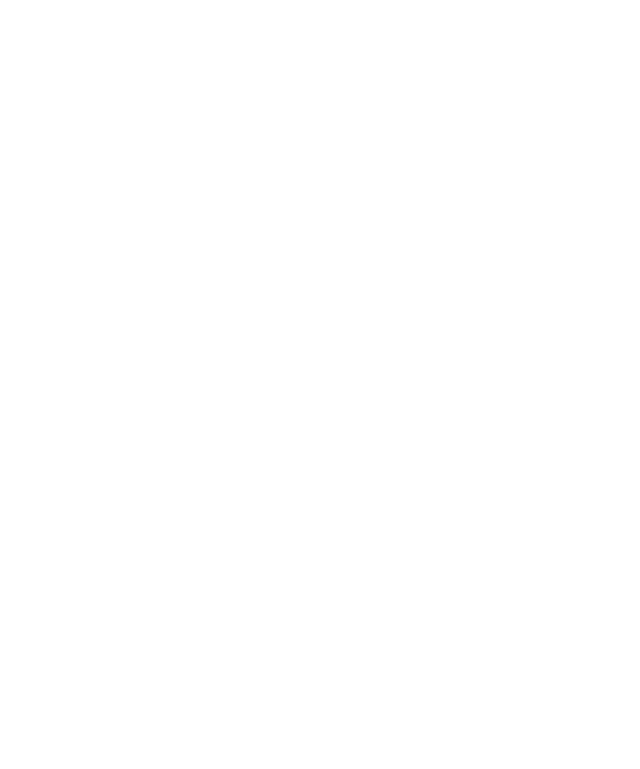Magnus Festival